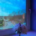 Aurora Dichroic Window Film