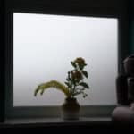 Clear Sandblast Window Film
