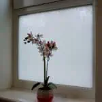Organic Cotton Window Film