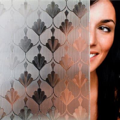 Clear Fan Tail Window Film